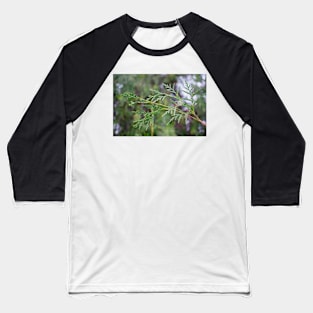 Evergreen Pine Tree Baseball T-Shirt